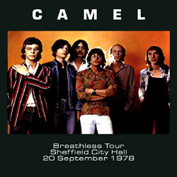 Camel Sheffield 1978