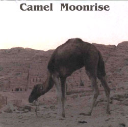 Camel - Moonrise Helsinki 1976