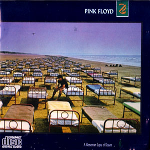 Pink Floyd - A Momentary Lapse of Reason